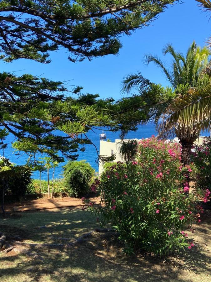Apartament Seashell Caracas Funchal  Zewnętrze zdjęcie
