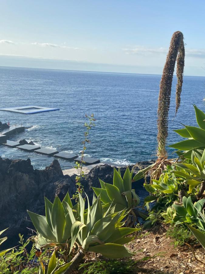 Apartament Seashell Caracas Funchal  Zewnętrze zdjęcie